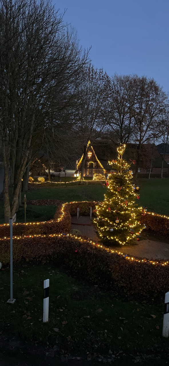 Aufstellen Weihnachtsbaum